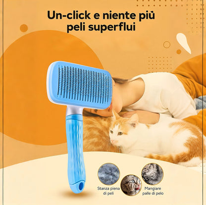 Spazzola ZampaBall 🐾