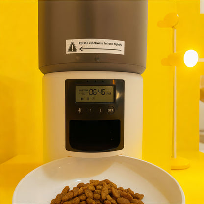ZampaFood - Dispenser Automatico Per Gatti