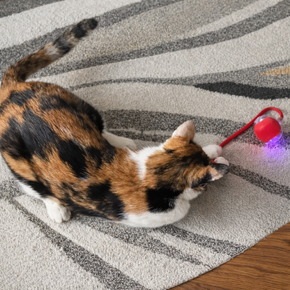 ZampaBall Instinct™
Balle interactive qui réveille l’instinct de chasse du chat.