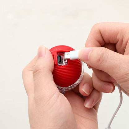 ZampaBall Instinct™
Balle interactive qui réveille l’instinct de chasse du chat.