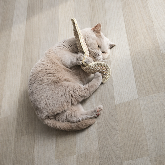 Tapis Relax à Herbe à Chat – Lot de 2